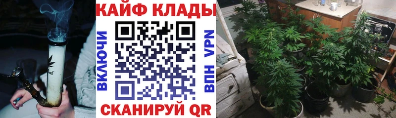 Купить закладку Канабис  МЕФ  ГАШ  Кольчугино