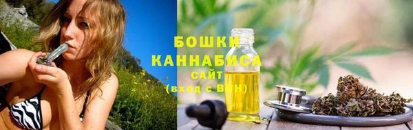 PSILOCYBIN Алексин