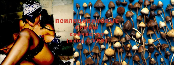 соль ск Алексеевка