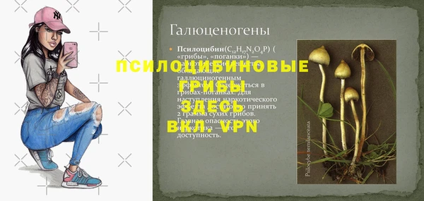 прущий лед Арсеньев