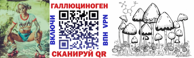 Купить  Кольчугино  Галлюциногенные грибы GOLDEN TEACHER 
